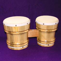 bongo SanDiegoStuff